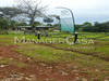 Продажа земли в КОСТА-РИКА (Сан-Карлос) Алахуэла