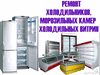 Ремонт бытового и торгового холодильного оборудования