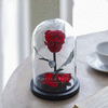 Красная роза под колпаком - Mini