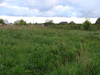 Земельный участок в Чеховском районе