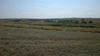 Земельный участок сельхоз назначения в Саратовском районе