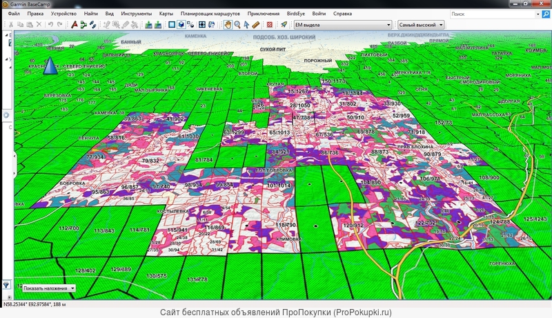 Карта с кварталами и выделами леса
