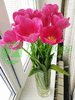 Крупные тюльпаны оптом в Новосибирске от 25 р