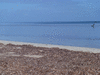 Береговая линия земли на пляже Краббинг