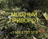 Мощный приворот