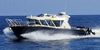 Продаем катер (лодку) Trident Solo 900
