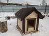 будки и домики для собак