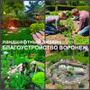 Ландшафтный дизайн Воронеж, озеленение в Воронеже и области
