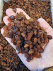 Изюм светло-коричневого Бедона (Узбекистан) оптом